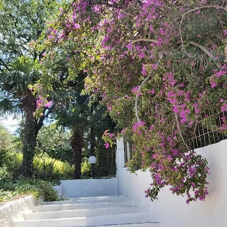 Attico Con Terrazzo E Finestre Sulla Baia Di Apartment