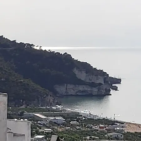 Attico Con Terrazzo E Finestre Sulla Baia Di *